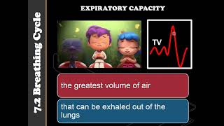 Biology STPM Tidal Volume Vital Capacity amp Total Lung capacity [upl. by Dulcle811]