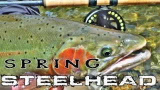 Spring SteelHead 2012 [upl. by Hernardo]