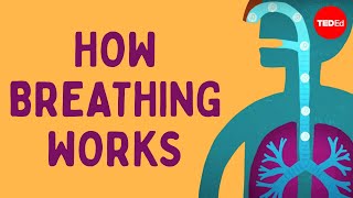 How breathing works  Nirvair Kaur [upl. by Eramat567]