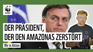 Amazonas Dieser Präsident zerstört ihn  ihr könnt ihn retten  WWF Deutschland [upl. by Elleinnad57]