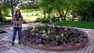 The Biggest Raised Bed Ive Ever Planted 🌿🌼💜 Garden Answer [upl. by Sansen572]