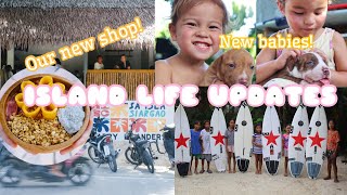 Were Back Island Life Updates New Surf Shop amp Cafe puppies and more [upl. by Jenelle]