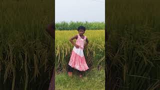 ম্যাডাম নাচে নাচেরে কমর ধলে। May 10 2024 viralvideo dance music arifa funny rumana song [upl. by Berners]