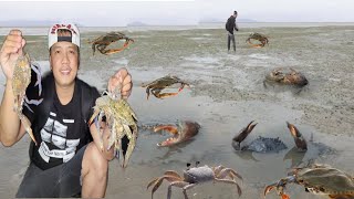 EP297 Diskarteng Pinoy Nang huli ng Crabs Kagabi Dahil Lowtide [upl. by Anitnemelc]