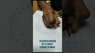 How to draw volvox diagram [upl. by Ayekal]