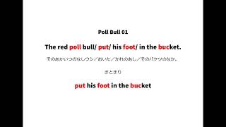 英語よみきかせリズミクス poll bull 01 [upl. by Mycah932]