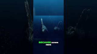 Journey into the Oceans Abyss Secrets of the Deep [upl. by Eelessej]