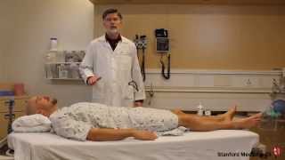 Ankle Brachial Index ABI Test How to Perform [upl. by Lenox]