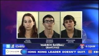 Four arrested after Mailbox Baseball  Oct 6th 2014 [upl. by Cohbath]