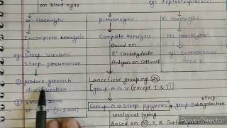 Streptococcus classification  classify streptococci [upl. by Jollenta606]