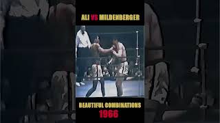 Ali🆚MildenbergerBeautiful Combos🔥🔥shorts boxing muhammadali [upl. by Shepperd994]