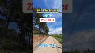 Đất rẻ ven Đà Lạt khí hậu mát mẻ batdongsan bandatdalat travel datvendalat [upl. by Nnayrrehs]