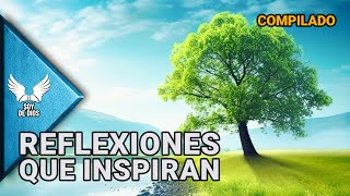 MARATÓN Reflexiones de la Vida  Dios Amor y Espiritualidad en Nuestro Diario Vivir  Soy De Dios [upl. by Allesiram]