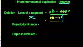 Chromosome mutation  deletion [upl. by Atiuqrahc]