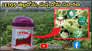 LETOS తెల్లదోమ పచ్చదోమ నివారణclothianidin 50wg insecticide telugu [upl. by Tamarra394]