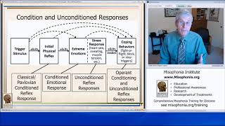 Conditioned and Unconditioned Reflexes of Misophonia [upl. by Llednik]