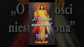 quotO Piękności niestworzonaquot TENOR Parafia świętej Barbary w Pionkach 2024 [upl. by Emor]