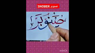 صنوبر SNOBER calligraphy  arabiccalligraphy calligraphy shortvideo shorts short [upl. by Whitnell]