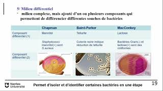 Bacterio 3 [upl. by Ielak]