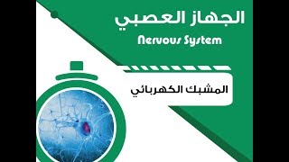 The Electrical Synapse  المشبك الكهربائي [upl. by Evelyn]