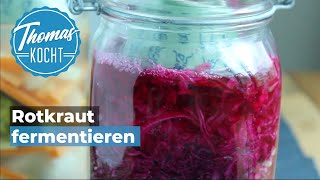 Rotkraut fermentieren und haltbar machen  Thomas kocht [upl. by Ahsiekan505]