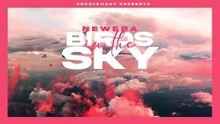 NewEra  Birds In The Sky [upl. by Gusty]