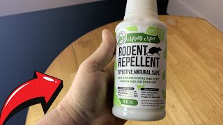 Mighty Mint 16oz Peppermint Oil Rodent Repellent Spray Review [upl. by Nodnyl319]