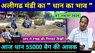 अलीगढ मंडी धान का भाव 🌾 Rice Prices today  1509 dhan ka bhav  1692 dhan ka bhav  dhan ka rate [upl. by Fulks581]