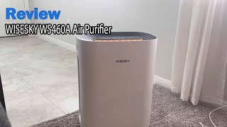 WISESKY WS460A Air Purifier Review  Watch before ordering [upl. by Rorrys15]