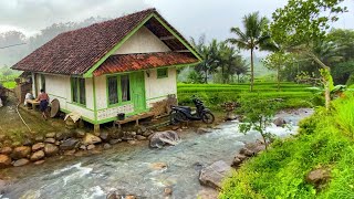 KAMPUNG INDAH DAN DAMAI DENGAN SUASANA KEGIATAN PETANI YANG BIKIN RINDU ORANG KOTA ll CIAMIS JABAR [upl. by Theodor]