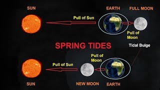 What Causes Tides [upl. by Vasily]