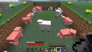 Minecraft  How To Make A Sheep Black [upl. by Gyimah844]