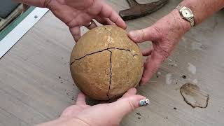 Breaking open Grandmas sandstone rock from 45 years ago FOSSIL INSIDE [upl. by Biddick]