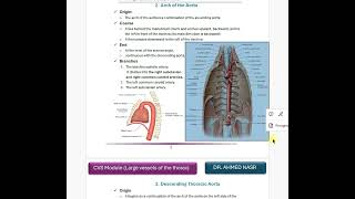 CVS lec3 larege vessels of thoraxشرح محاضرة الاناتومي بعنوان [upl. by Azaria446]