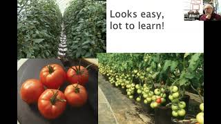 OSU Extension So You Want to Grow Greenhouse Tomatoes [upl. by Philana949]