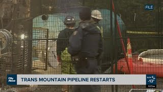 Transmountain pipeline restarts after 3 week shutdown [upl. by Aicala479]