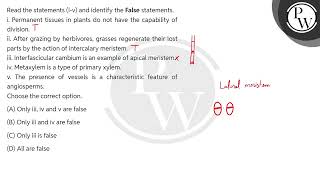 Read the statements iv and identify the False statements\ni Permanent tissues in plants do [upl. by Bryn519]