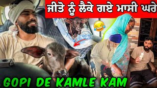 ਜੀਤੋ ਨੂੰ ਲੈਕੇ ਗਏ ਮਾਸੀ ਘਰੇ 😂😂 Gopi De Kamle Kam 😤 manishoker gopishoker funny [upl. by Gearalt]