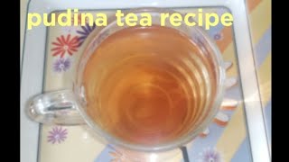 pudina tea recipe daily routine vlog Mint tea  Weight loss drinks  Possiblepudina tea [upl. by Ayahsal475]