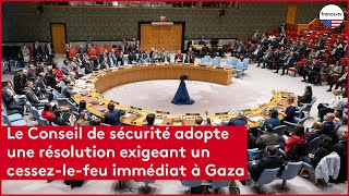 Le Conseil de sécurité adopte une résolution exigeant un cessez le feu immédiat à Gaza [upl. by Duff894]