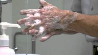 Correct Handwashing Technique [upl. by Eirallam]