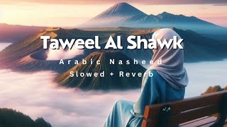 Taweel Al Shawk Nasheed  Slowed  Reverb  Soothing [upl. by Ayim719]