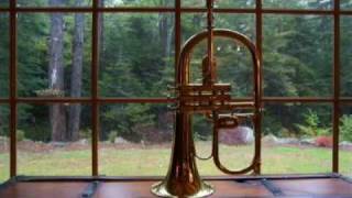 Music for Flugelhorn [upl. by Bodi]