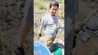 My first time gold panning at Lynx Creek FOUND GOLD w VendettaProspecting [upl. by Hannad]