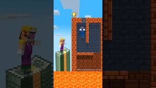 Tower Challenge Mario VS Wario [upl. by Anelahs]