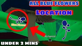 Where To Find Blue Flower in Blox Fruits  Race V2  Alchemist quest [upl. by Derrek]