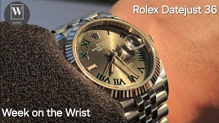 Week on the Wrist  Rolex Datejust 36 Wimbledon 👑 The Classic Choice [upl. by Solenne]