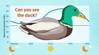 What is the Duck Curve [upl. by Cyn]