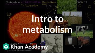 Introduction to metabolism anabolism and catabolism  Khan Academy [upl. by Hughett]