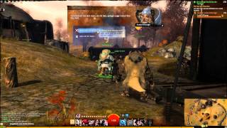 Lets Play Guild Wars 2 German part 41 Das Fleischoberfest [upl. by Aicylla99]